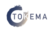 Tokema Consulting SAS